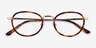 Myoko Tortoise Gold AcétateMontures de lunettes de vue d'EyeBuyDirect, Vue Rapprochée