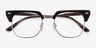 Nichibotsu Tortoise Gold AcetateEyeglass Frames from EyeBuyDirect, Closed View
