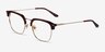 Concerto Tortoise Gold AcetateEyeglass Frames from EyeBuyDirect, Angle View