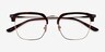 Concerto Tortoise Gold AcetateEyeglass Frames from EyeBuyDirect, Closed View