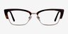 Camley Tortoise Gold AcetateEyeglass Frames from EyeBuyDirect, Front View