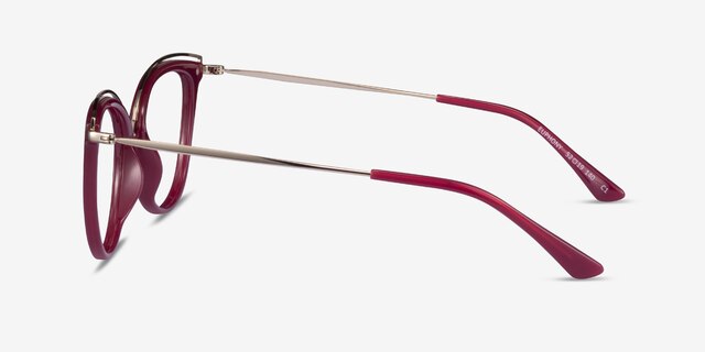 Euphony Burgundy Gold AcetateEyeglass Frames from EyeBuyDirect, Side View
