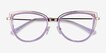Clarinet Clear Purple Gold AcetateEyeglass Frames from EyeBuyDirect, Closed View