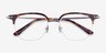 Witty Tortoise Silver AcetateEyeglass Frames from EyeBuyDirect, Closed View