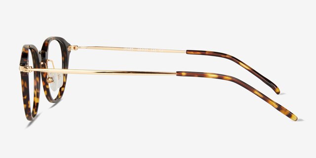 Jones Tortoise Gold AcetateEyeglass Frames from EyeBuyDirect, Side View
