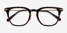 Hayes Tortoise Gold AcetateEyeglass Frames from EyeBuyDirect, Closed View