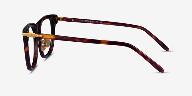 Jefferson Tortoise Gold AcetateEyeglass Frames from EyeBuyDirect, Side View