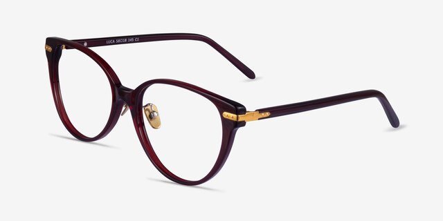 Luca Burgundy Gold AcetateEyeglass Frames from EyeBuyDirect, Angle View