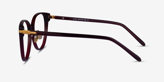 Luca Burgundy Gold AcetateEyeglass Frames from EyeBuyDirect, Side View