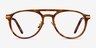 Aston Brown Tortoise Gold AcetateEyeglass Frames from EyeBuyDirect, Front View