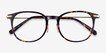 Hollis Tortoise Gold AcetateEyeglass Frames from EyeBuyDirect, Closed View