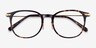 Hollis Tortoise Gold AcétateMontures de lunettes de vue d'EyeBuyDirect, Vue Rapprochée
