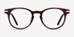 Hathaway Brown &Gold AcetateEyeglass Frames from EyeBuyDirect, Front View