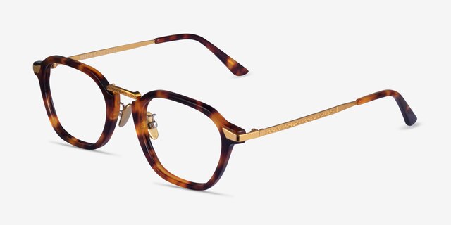 Baxter Tortoise Gold AcetateEyeglass Frames from EyeBuyDirect, Angle View