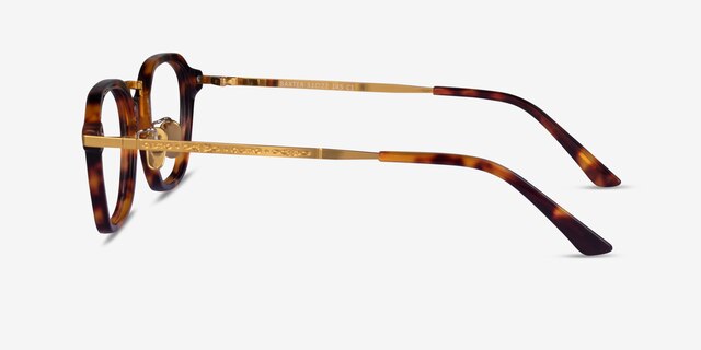 Baxter Tortoise Gold AcetateEyeglass Frames from EyeBuyDirect, Side View