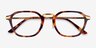 Baxter Tortoise Gold AcetateEyeglass Frames from EyeBuyDirect, Closed View