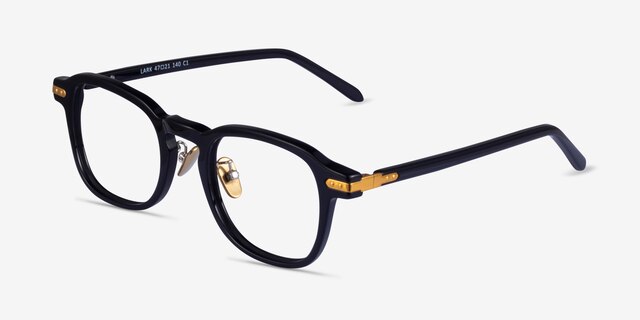 Lark Black Gold AcetateEyeglass Frames from EyeBuyDirect, Angle View