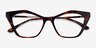 Tiffany Tortoise AcetateEyeglass Frames from EyeBuyDirect, Closed View