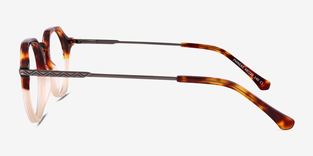 Phineas Tortoise AcetateEyeglass Frames from EyeBuyDirect, Side View