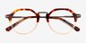 Phineas Tortoise AcetateEyeglass Frames from EyeBuyDirect, Closed View