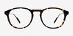 Rise Tortoise AcetateEyeglass Frames from EyeBuyDirect, Front View