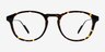 Rise Tortoise AcetateEyeglass Frames from EyeBuyDirect, Front View