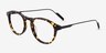 Rise Tortoise AcetateEyeglass Frames from EyeBuyDirect, Angle View