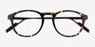 Rise Tortoise AcetateEyeglass Frames from EyeBuyDirect, Closed View