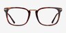 Adzo Tortoise AcetateEyeglass Frames from EyeBuyDirect, Front View
