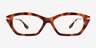 Vise Tortoise Gold AcetateEyeglass Frames from EyeBuyDirect, Front View