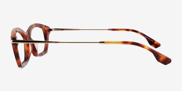 Vise Tortoise Gold Acetate Eyeglass Frames from EyeBuyDirect