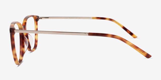 Study Brown Tortoise AcetateEyeglass Frames from EyeBuyDirect, Side View