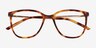 Study Brown Tortoise AcetateEyeglass Frames from EyeBuyDirect, Closed View
