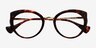 Admiral Tortoise AcetateEyeglass Frames from EyeBuyDirect, Closed View