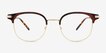 Hollander Gold Tortoise AcetateEyeglass Frames from EyeBuyDirect, Front View