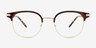 Hollander Gold Tortoise AcetateEyeglass Frames from EyeBuyDirect, Front View