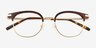 Hollander Gold Tortoise AcetateEyeglass Frames from EyeBuyDirect, Closed View