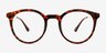 Grin Tortoise Plastic, MetalEyeglass Frames from EyeBuyDirect, Front View