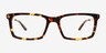 Beaumont Tortoise MetalEyeglass Frames from EyeBuyDirect, Front View
