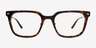Illuma Tortoise MetalEyeglass Frames from EyeBuyDirect, Front View