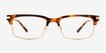 Ulrich Tortoise AcetateEyeglass Frames from EyeBuyDirect, Front View