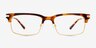Ulrich Tortoise AcetateEyeglass Frames from EyeBuyDirect, Front View
