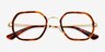 Noa Tortoise AcetateEyeglass Frames from EyeBuyDirect, Closed View