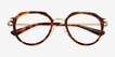 Jameson Tortoise AcetateEyeglass Frames from EyeBuyDirect, Closed View