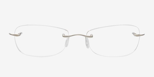 Cecil Silver Titanium Eyeglass Frames