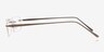 Cis Brown MetalEyeglass Frames from EyeBuyDirect, Side View
