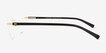 Greystone Gold AcetateEyeglass Frames from EyeBuyDirect, Side View