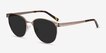 Maui Rose Gold MetalSunglass Frames from EyeBuyDirect, Angle View