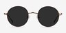 Sun Synapse Brown MetalSunglass Frames from EyeBuyDirect, Front View