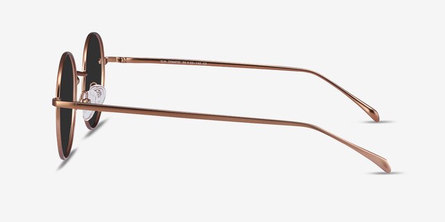 Sun Synapse Brown MetalSunglass Frames from EyeBuyDirect, Side View